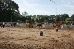 Buitenbak