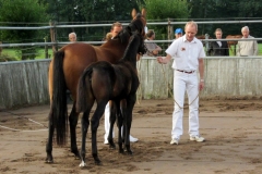 Buitenbak