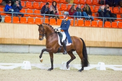 Van Silfhout D-Expression-ERME18L200111 (Large)