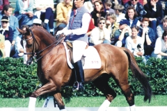 foto-facet-99
