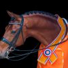 Expression vastgelegd door Stichting Nederlands Olympiade Paard